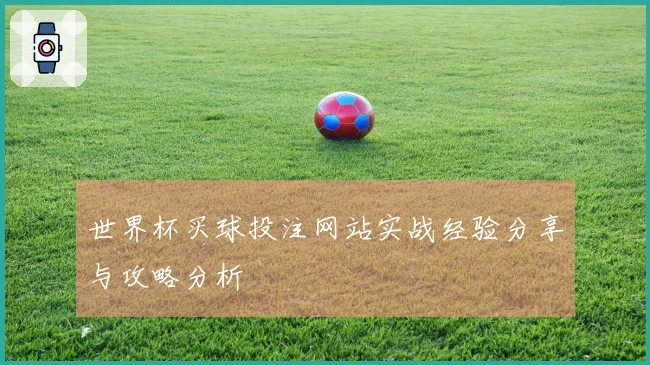 世界杯买球投注网站实战经验分享与攻略分析
