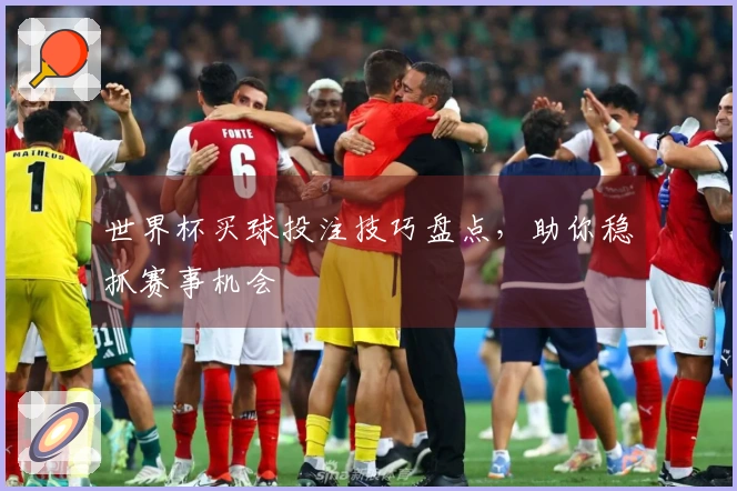 世界杯买球投注技巧盘点，助你稳抓赛事机会