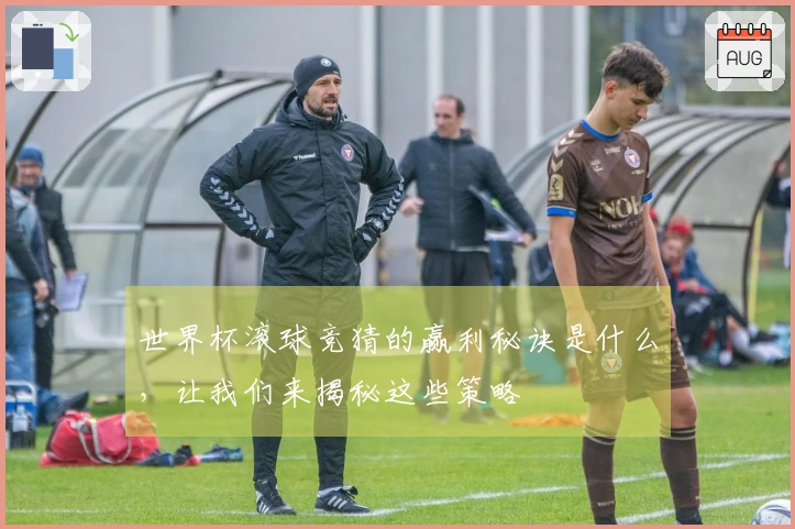 世界杯滚球竞猜的赢利秘诀是什么，让我们来揭秘这些策略