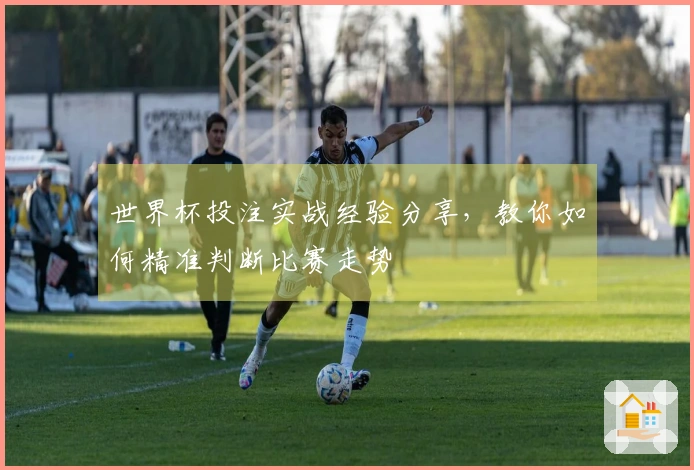 世界杯投注实战经验分享，教你如何精准判断比赛走势