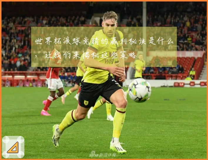 世界杯滚球竞猜的赢利秘诀是什么，让我们来揭秘这些策略