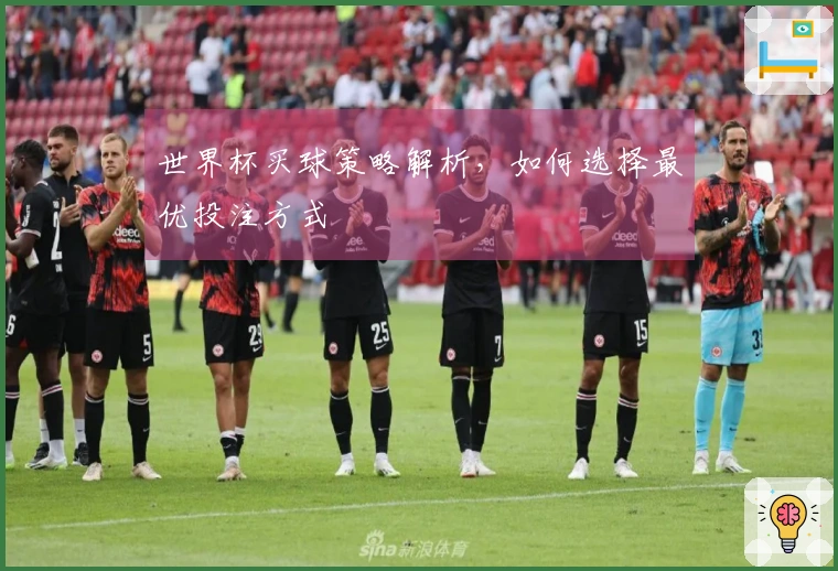 世界杯买球策略解析，如何选择最优投注方式