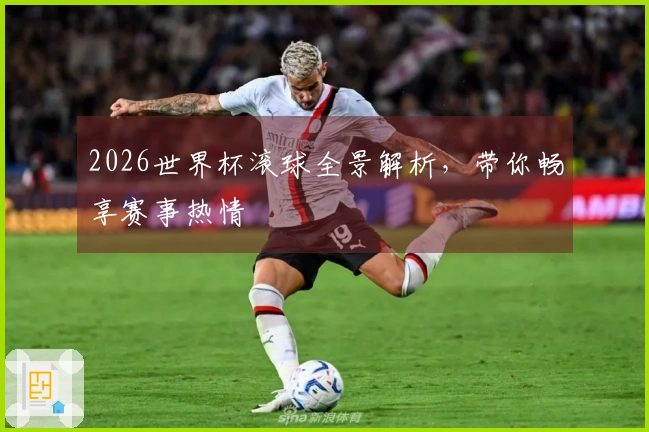 2026世界杯滚球全景解析，带你畅享赛事热情