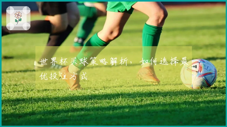 世界杯买球策略解析，如何选择最优投注方式